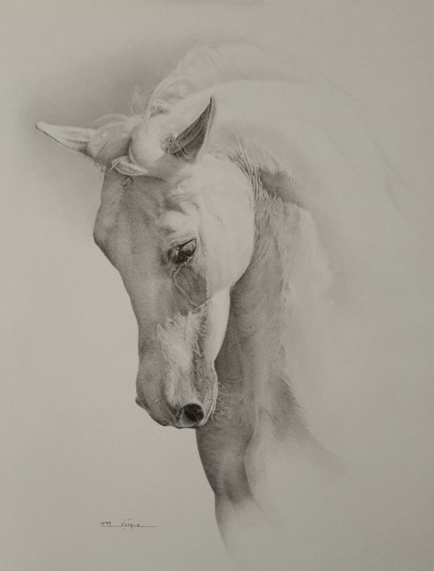 Horse portrait | white
