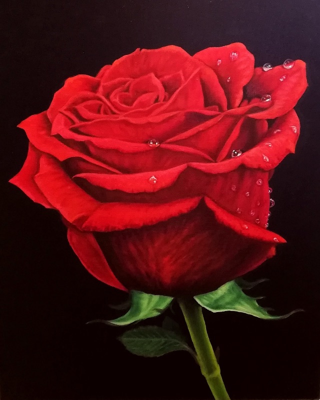 Rosa roja – Galería Artelibre – Fine Art