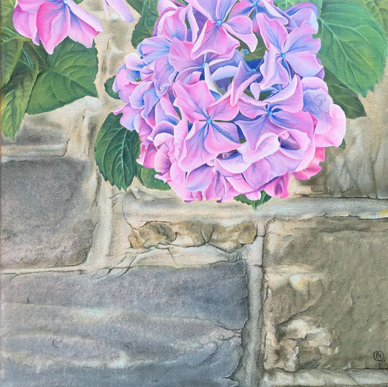Pink and Blue Hydrangea in Church Wall