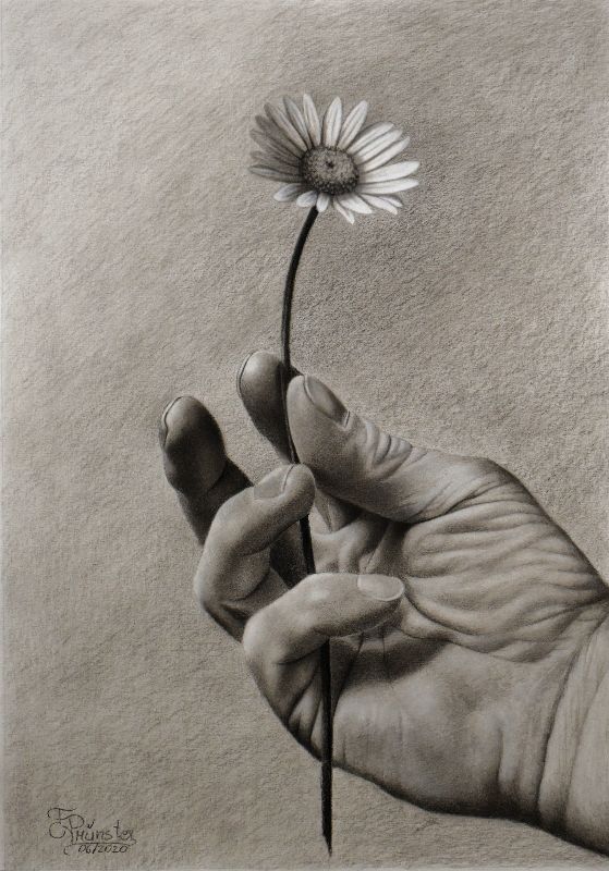 Hand with daisy
