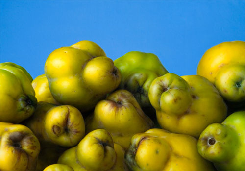 Amarillo Amarillo