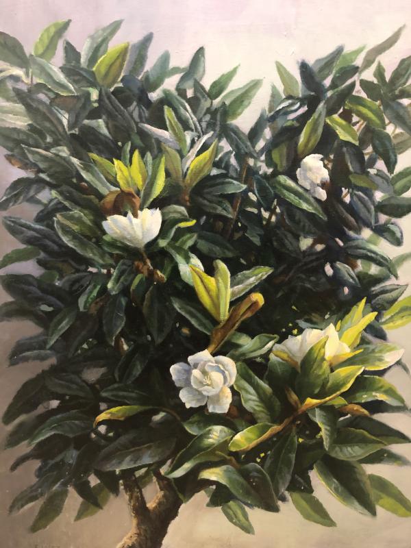 Árbol de azalea – Galería Artelibre – Fine Art